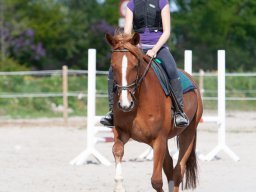 IMG_0494_web